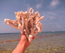 <b>��ɳˮ��Ǳˮ����Ǳ�ʹ�Ǳ�����μ�</b>