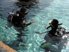 ��OW)����ˮ��ǱˮԱ���޵�20��������ʲô��