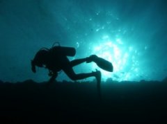 �����Ľ�ѵ��ѩ�ϼ�˪