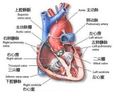 ǱˮԱҪ����PFO����Բ��δ�պϣ�����