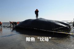 ��˭�þ�������”�س�”