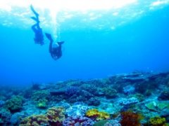 ���ڻ���ȥ���嵺Ǳˮ��