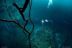 �������кӣ���