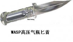 ʷ�����ײе�Ǳˮ�� WASP��ѹ��ƿذ��