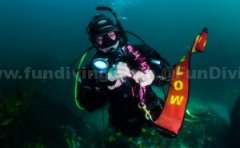 Ҫ��Ҫ����һ�ס������ֵ���Ρ���