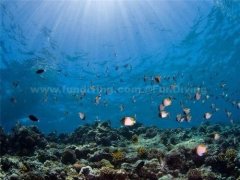 ʮ�������������������Ǳˮ