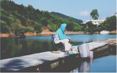 ̫���ԣ�40�����Ϊ��������һ�������������ݳɺ�������