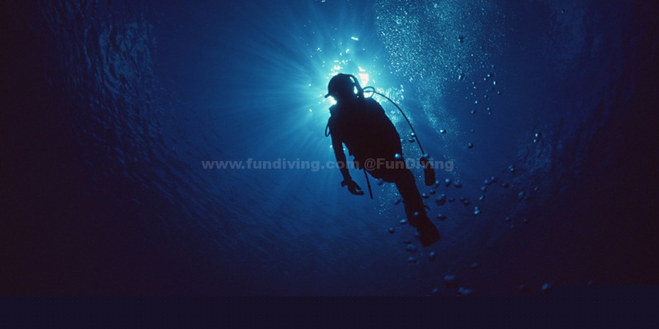 ��ЩǱˮ���������㶼����ô��